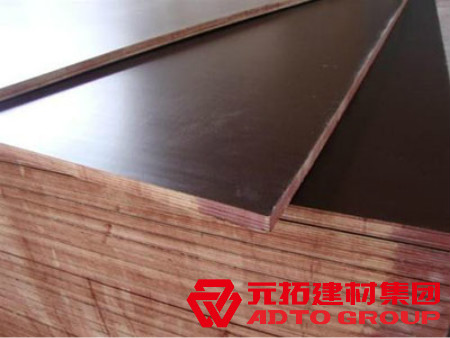  河北木模板如何選購(gòu)？建筑木模板選購(gòu)注意哪些方面？